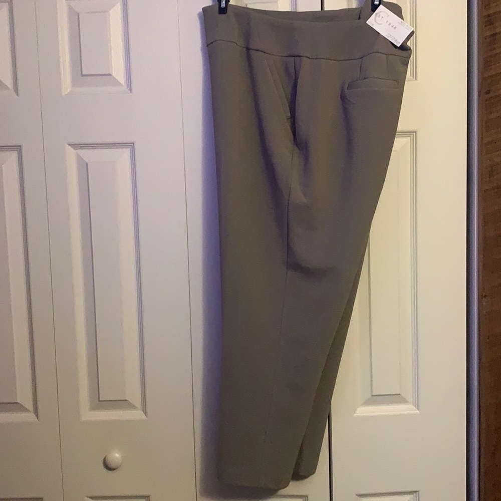 Slim Tan Stretchable Dress Pant. Never worn.